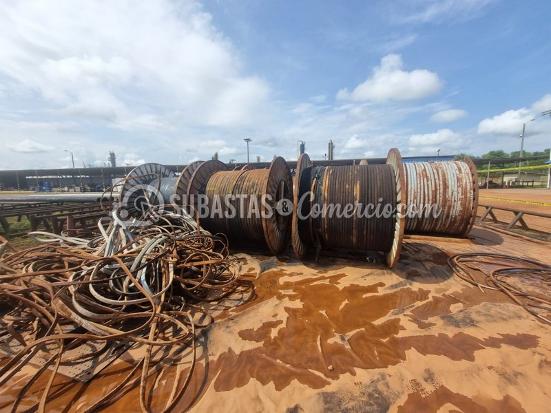 WhatsApp Image 2025-11-07 at 12.53.44 PM (2).jpg